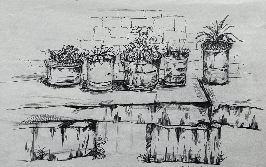 宁珂心《墙的一角》.jpg 宁珂心《墙的一角》.jpg